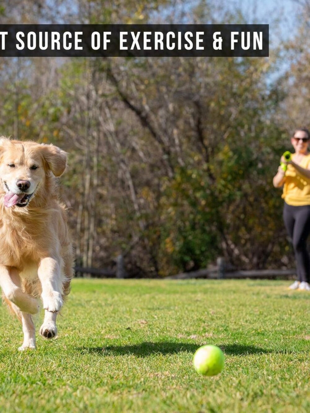 K9 Kannon Dog Ball Thrower Launcher for Dogs, All Breeds Up To 60 Pounds, With O - Picture 5 of 9